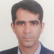 دکتر محمود حسین زاده ملکی