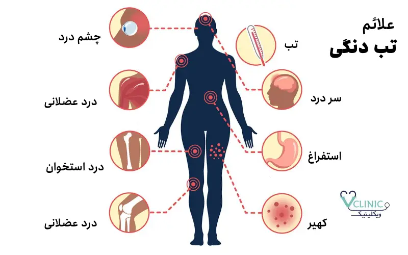 پشه آئدس خطرناک است؟